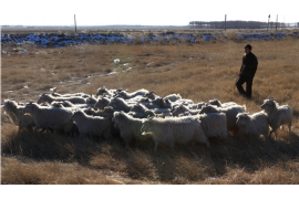 文安债务清欠服务